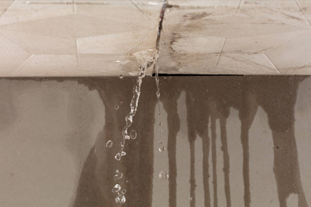 Professional Structural Drying technician working in Milan, IN